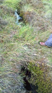 Peat dam on Heather Hill grip (ditch)
