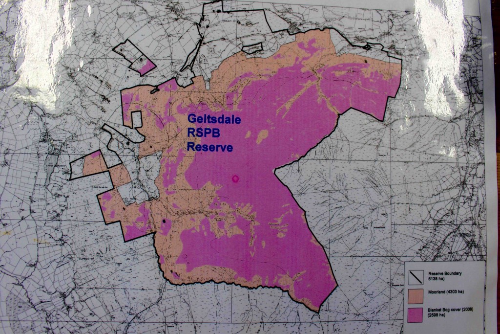 geltsdale map showing blanket bog_lores